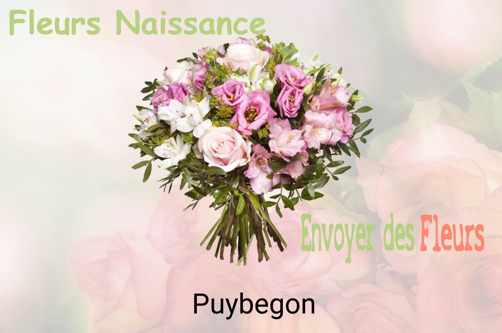 Bouquet de fleurs de naissance livré à Puybegon
